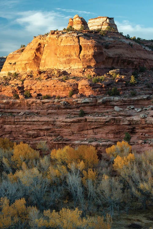 USA, Utah. Last light on sandstone monolith with autumn cottonwoods, Grand Staircase-Escalante National Monument.