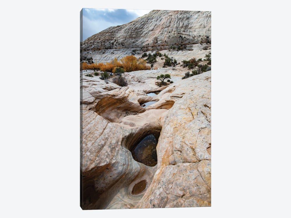 USA, Utah. Waterpockets and autumnal cottonwood trees, Grand Staircase-Escalante National Monument. by Judith Zimmerman 1-piece Canvas Wall Art