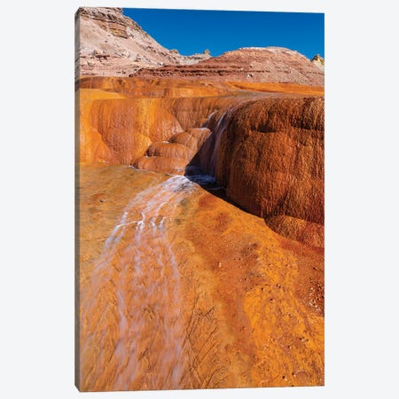 USA, Utah. Crystal Geyser, A Cold Water Geyser, Travertine Geological Formation, Near Green River I Canvas Print #JZI24} by Judith Zimmerman Canvas Art Print