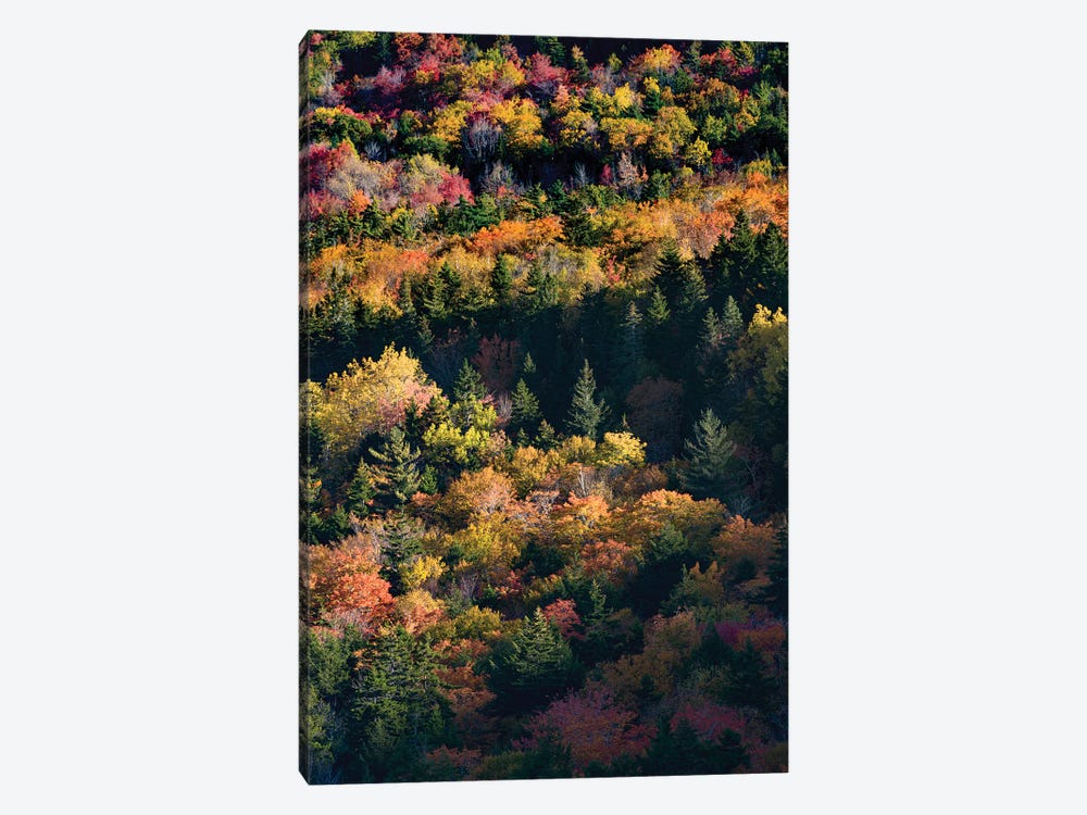 USA, Maine. Autumn foliage viewed from atop The Bubbles near Jordan Pond, Acadia National Park. by Judith Zimmerman 1-piece Canvas Art