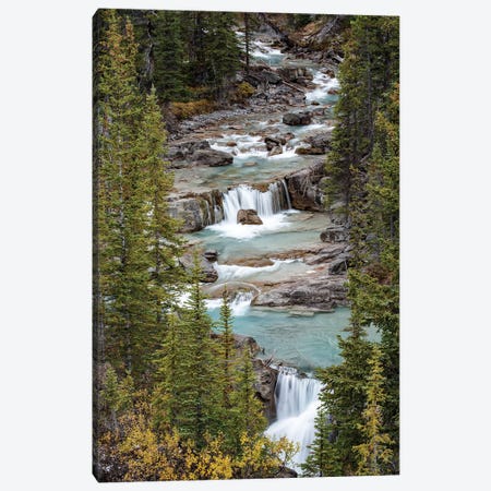 Canada, Alberta. Nigel Creek, Banff National Park. Canvas Print #JZI9} by Judith Zimmerman Canvas Artwork