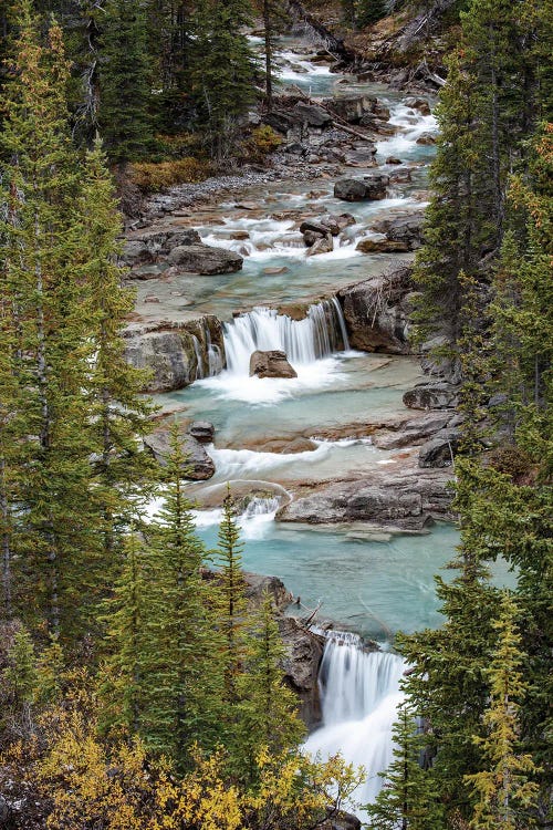 Canada, Alberta. Nigel Creek, Banff National Park.