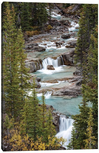 Canada, Alberta. Nigel Creek, Banff National Park. Canvas Art Print
