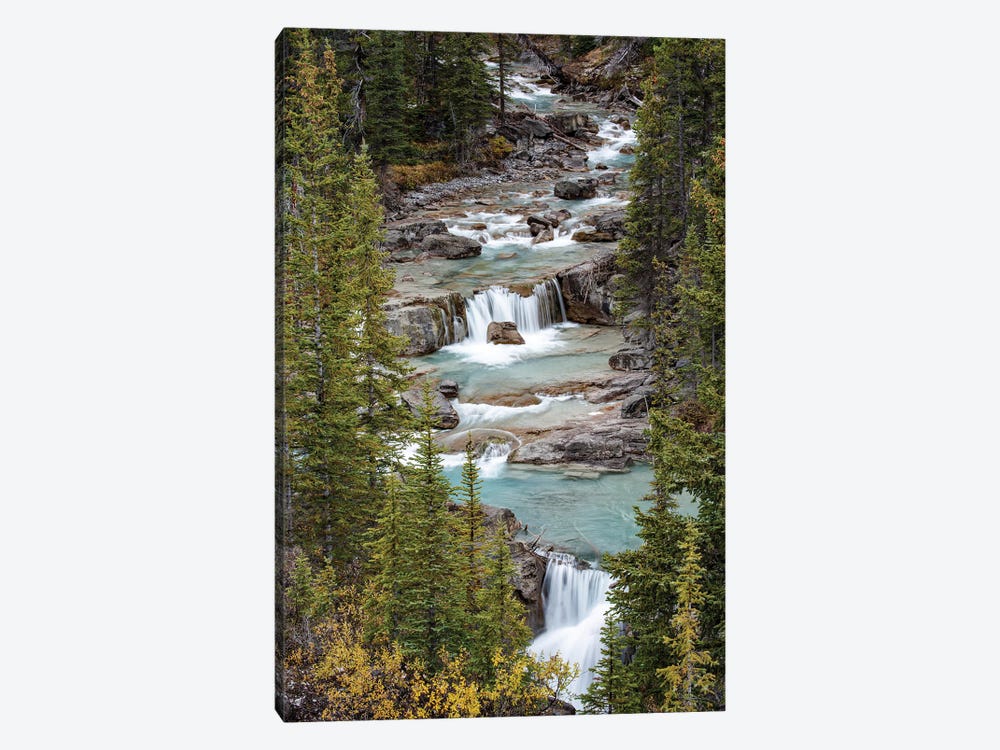 Canada, Alberta. Nigel Creek, Banff National Park. by Judith Zimmerman 1-piece Canvas Art Print