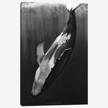 Whale Black Canvas Print #JZN12} by Johann Zelenin Canvas Art