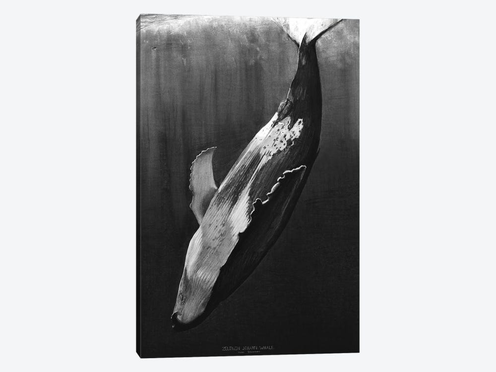Whale Black by Johann Zelenin 1-piece Canvas Artwork