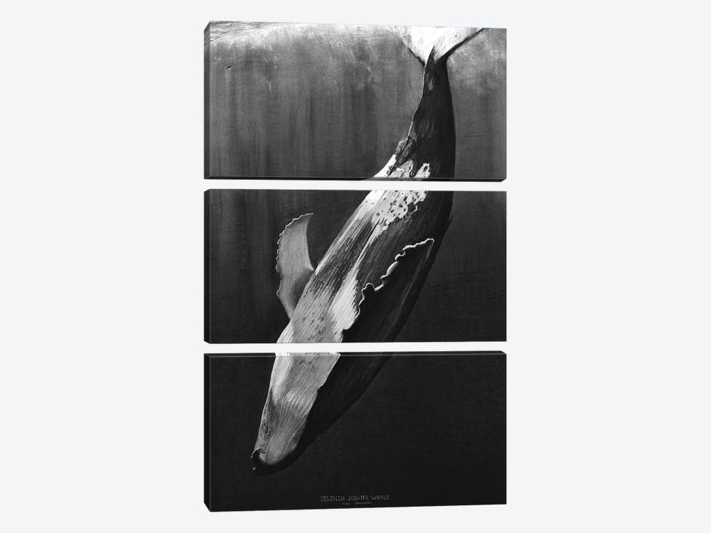 Whale Black by Johann Zelenin 3-piece Canvas Wall Art