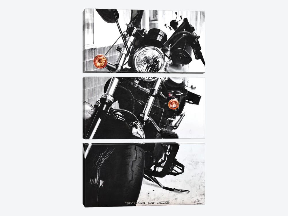 Harley Davidson by Johann Zelenin 3-piece Canvas Art