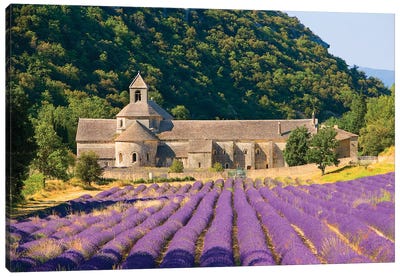 Lavender Field, Senanque Abbey, Near Gordes, Provence-Alpes-Cote d'Azur, France Canvas Art Print - Lavender Art