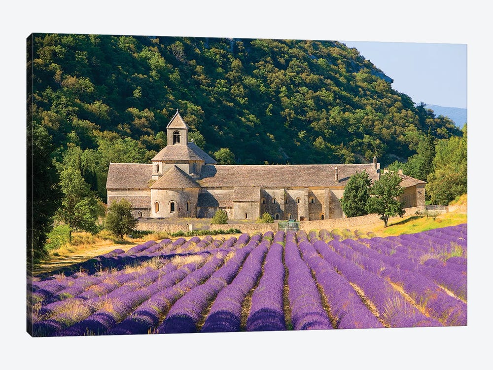 Lavender Field, Senanque Abbey, Near Gordes, Provence-Alpes-Cote d'Azur, France by Jim Zuckerman 1-piece Canvas Art Print