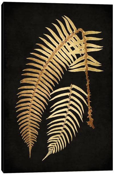 Golden Nature I Canvas Art Print - Kate Bennett