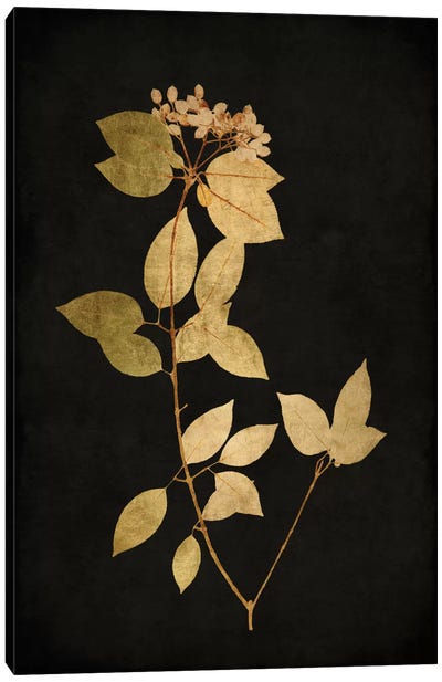 Golden Nature VI Canvas Art Print - Green Leaves 