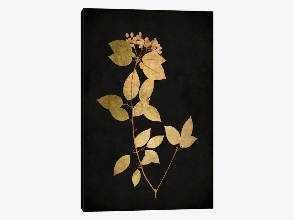 Golden Nature VI by Kate Bennett 1-piece Art Print