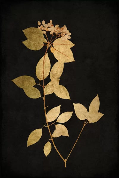 Green Leaves: Golden Nature VI by Kate Bennett