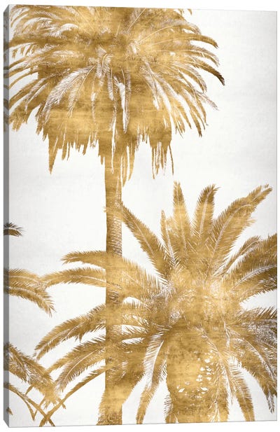 Golden Palms Panel IV Canvas Art Print - Gold & White Art