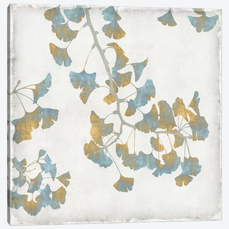 Ginkgo Branches I Canvas Print #KAB1} by Kate Bennett Canvas Print
