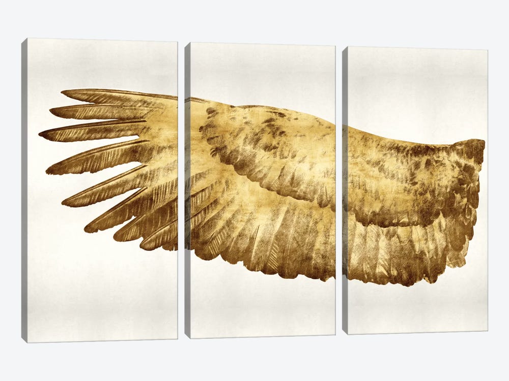 Golden Wing I by Kate Bennett 3-piece Canvas Art Print