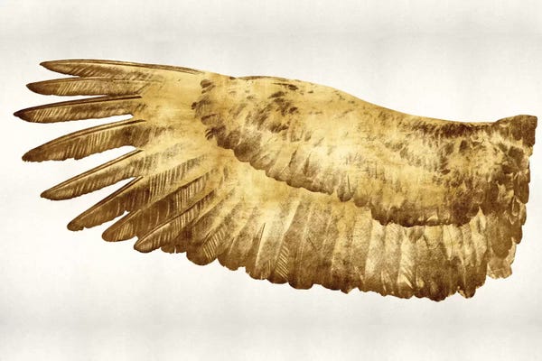Kate Bennett: Golden Wing I by Kate Bennett