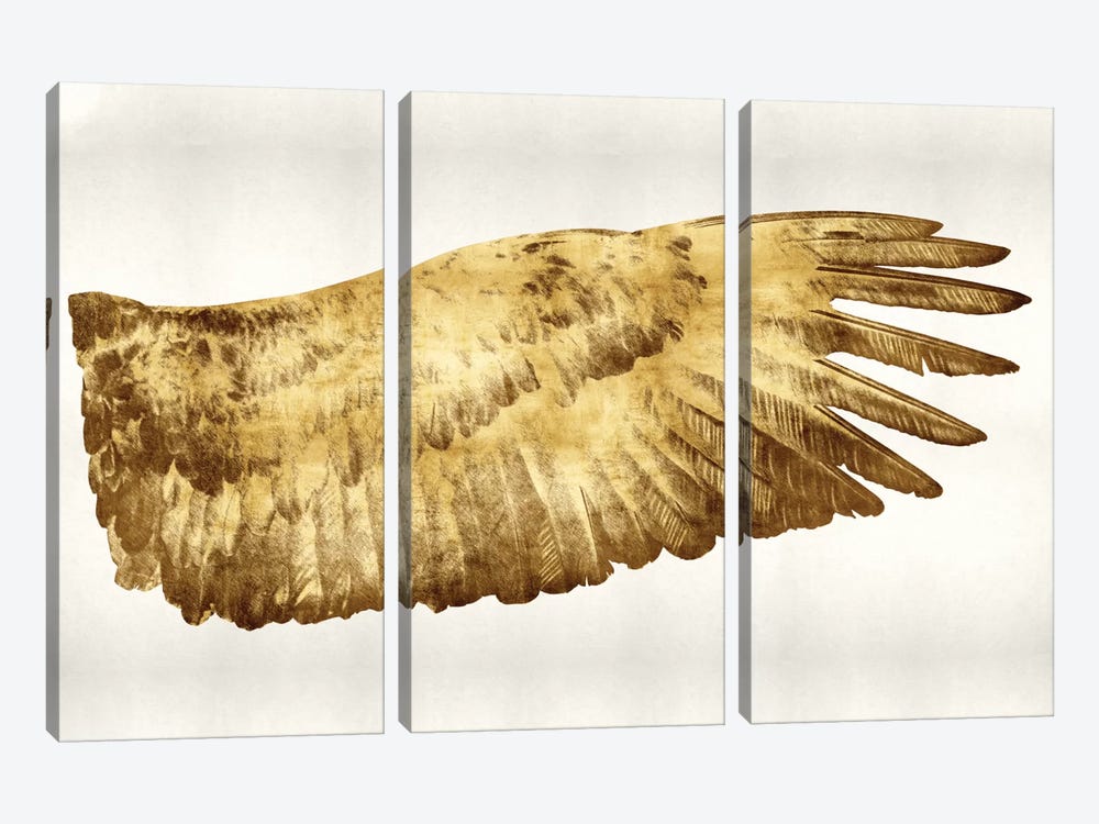 Golden Wing II by Kate Bennett 3-piece Canvas Artwork