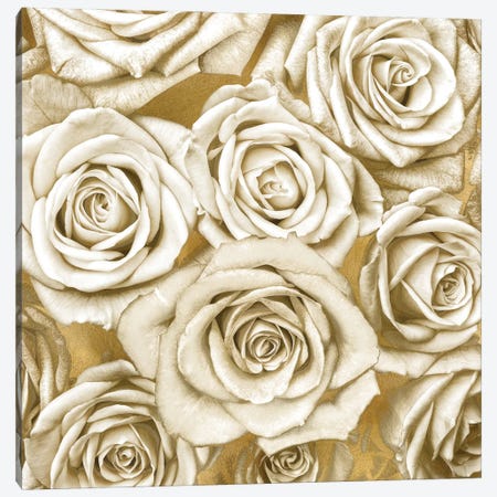 Ivory Roses On Gold Canvas Print #KAB25} by Kate Bennett Canvas Wall Art