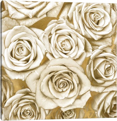 Ivory Roses On Gold Canvas Art Print - Gold & White Art