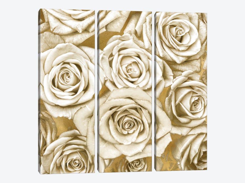Ivory Roses On Gold by Kate Bennett 3-piece Canvas Art