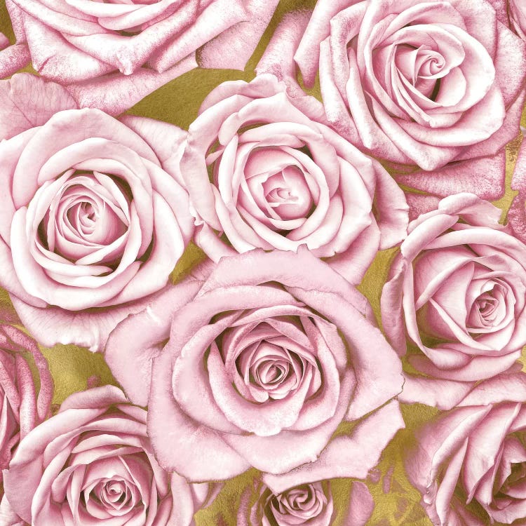 Pink Roses On Gold