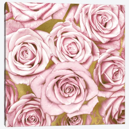 Pink Roses On Gold Canvas Print #KAB31} by Kate Bennett Canvas Wall Art