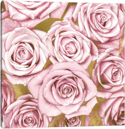 Pink Roses On Gold Canvas Art Print - Floral Close-Up Art