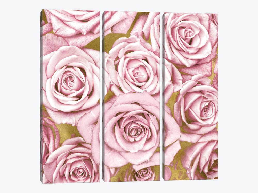 Pink Roses On Gold by Kate Bennett 3-piece Canvas Print