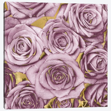 Roses - Amethyst On Gold Canvas Print #KAB33} by Kate Bennett Canvas Artwork