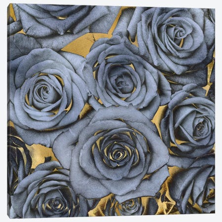 Roses - Blue On Gold Canvas Print #KAB34} by Kate Bennett Canvas Art Print