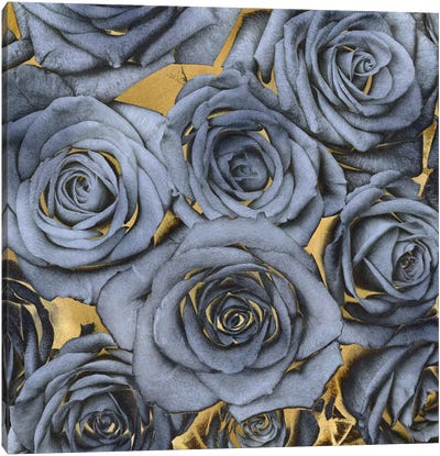 Roses - Blue On Gold Canvas Art Print - Kate Bennett