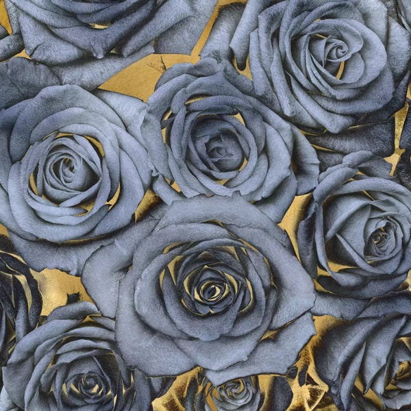 Kate Bennett: Roses - Blue On Gold by Kate Bennett