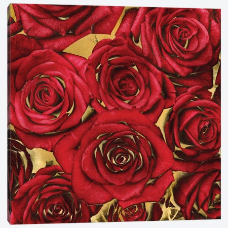 Roses - Red On Gold Canvas Print #KAB35} by Kate Bennett Canvas Print