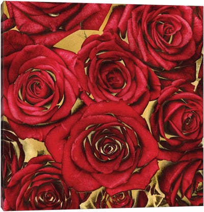 Roses - Red On Gold Canvas Art Print - Kate Bennett