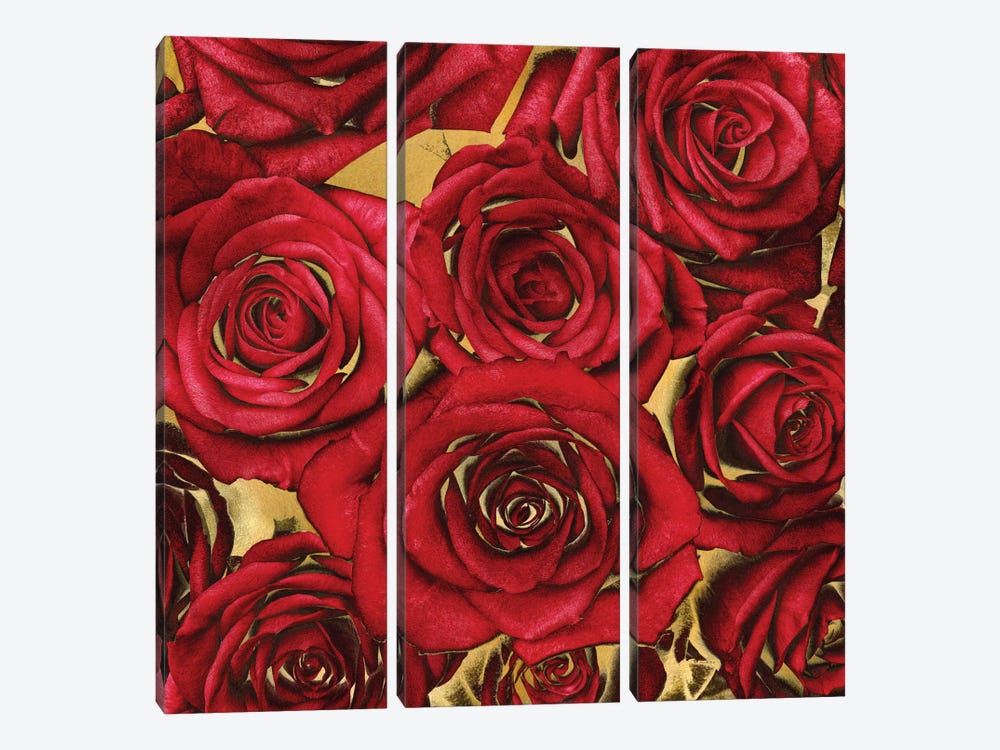 Roses - Red On Gold by Kate Bennett 3-piece Canvas Art Print