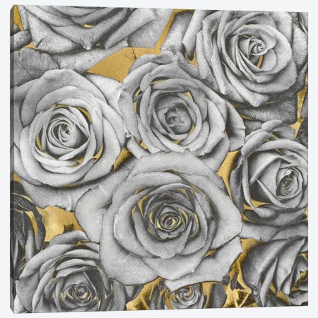 Roses - Silver On Gold Canvas Print #KAB36} by Kate Bennett Canvas Art Print