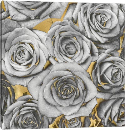 Roses - Silver On Gold Canvas Art Print