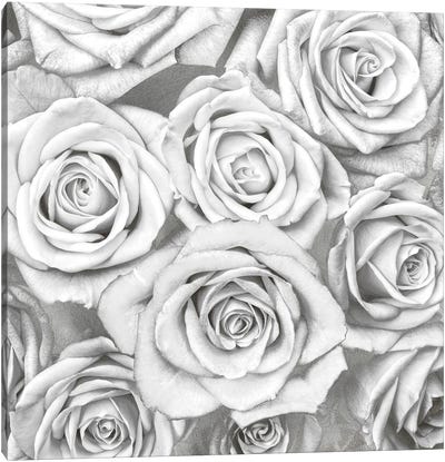 Roses - White On Silver Canvas Art Print - Pure White