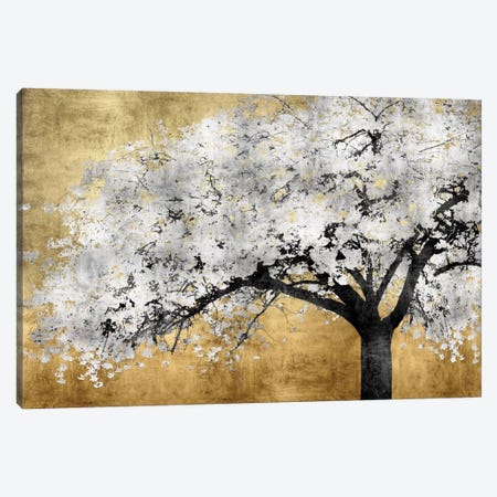 Silver Blossoms Canvas Print #KAB39} by Kate Bennett Canvas Art