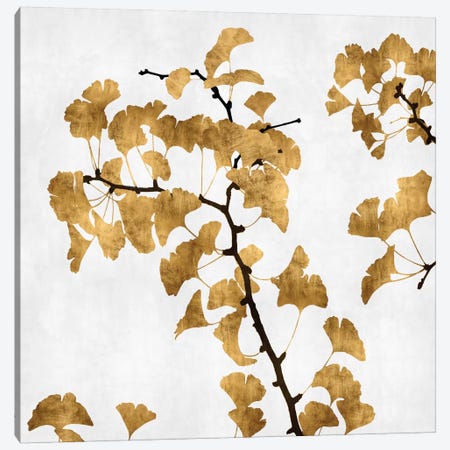 Ginkgo In Gold I Canvas Print #KAB3} by Kate Bennett Canvas Art Print
