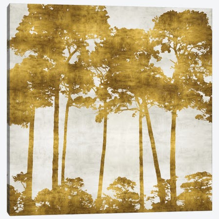 Tree Lined In Gold II Canvas Print #KAB42} by Kate Bennett Art Print