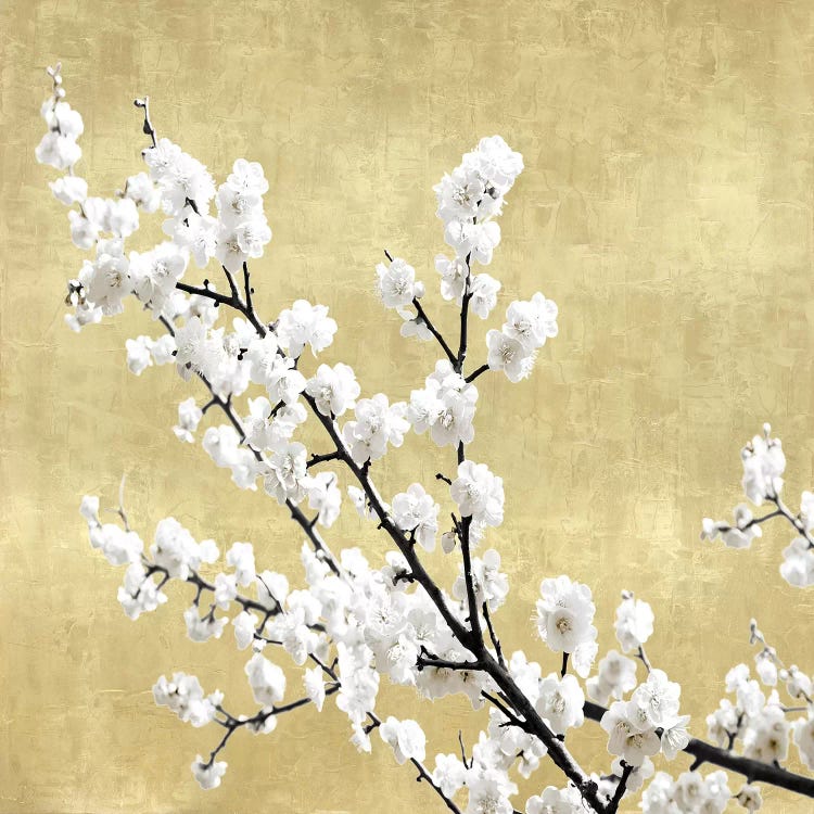 Blossoms on Gold I by Kate Bennett wall art