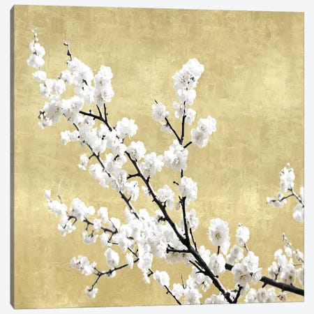Blossoms on Gold I Canvas Print #KAB48} by Kate Bennett Art Print
