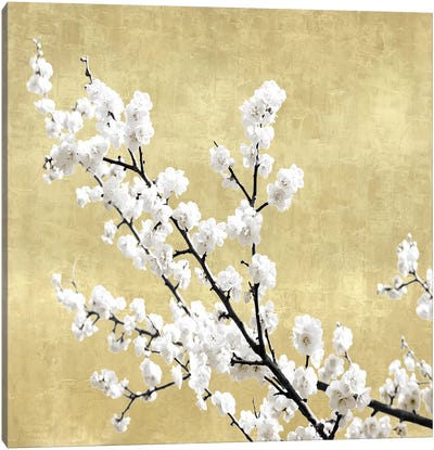 Blossoms on Gold I Canvas Art Print - Kate Bennett