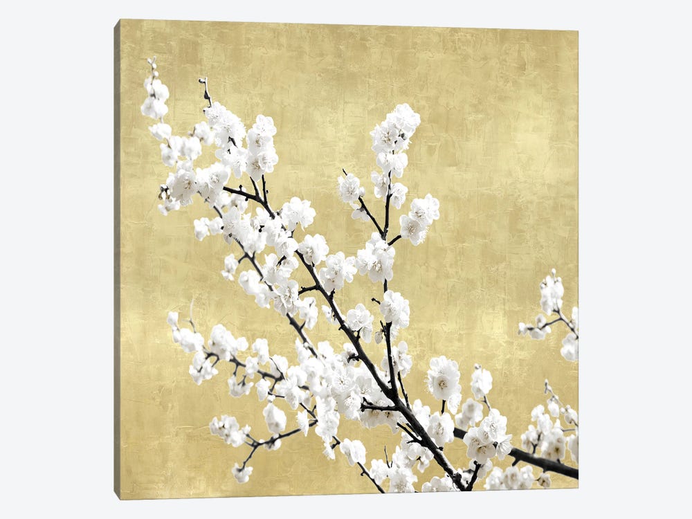 Blossoms on Gold I by Kate Bennett 1-piece Canvas Print
