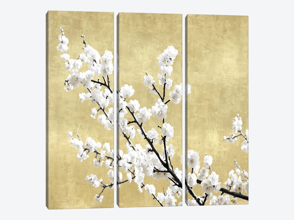 Blossoms on Gold I by Kate Bennett 3-piece Canvas Art Print
