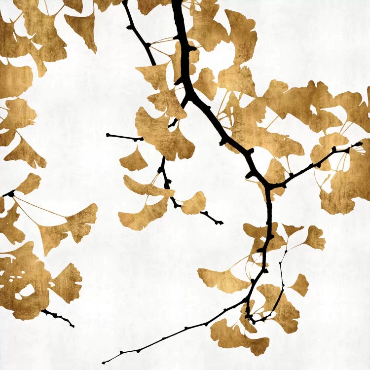 Ginkgo In Gold II by Kate Bennett wall art