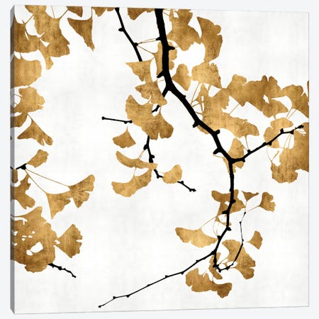 Ginkgo In Gold II Canvas Print #KAB4} by Kate Bennett Canvas Art